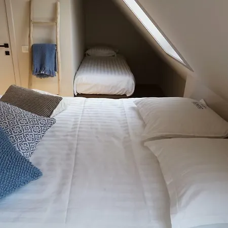 Appartement Maison Louise
